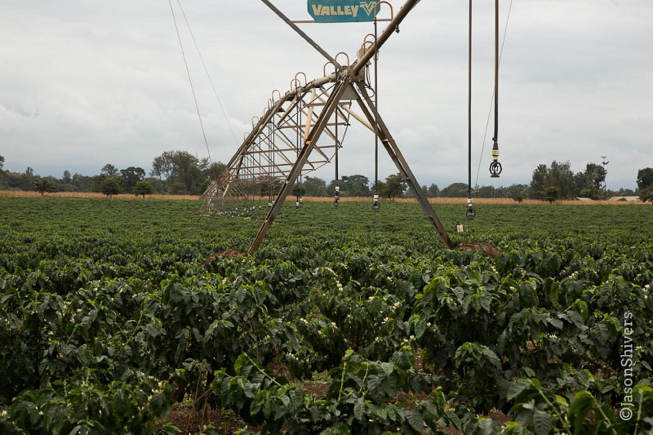 维卢维卢河畔山林小屋 Weru Weru 外观 照片